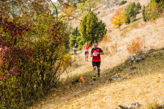 altmuehltrail_2018_20181102_1496789130