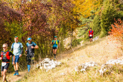 altmuehltrail_2018_20181102_1524520358