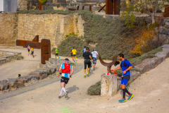 altmuehltrail_2018_20181102_1564139016