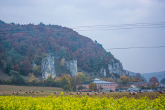 altmuehltrail_2018_20181102_1642286962