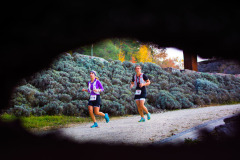 altmuehltrail_2018_20181102_1658596704