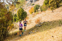 altmuehltrail_2018_20181102_1673494191