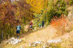 altmuehltrail_2018_20181102_1684937663