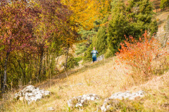 altmuehltrail_2018_20181102_1699579325