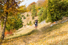 altmuehltrail_2018_20181102_1729538997