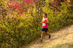 altmuehltrail_2018_20181102_1900437049