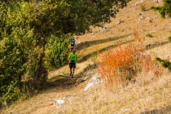 altmuehltrail_2018_20181102_1952400166