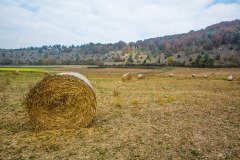 altmuehltrail_2018_20181102_1985416720