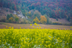altmuehltrail_2018_20181102_2035053878