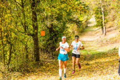 altmuehltrail_2018_20181102_2048212781