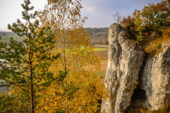 altmuehltrail_2018_22_20181102_1797636452