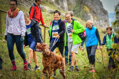 altmuehltrail_2018_27_20181102_1695816917
