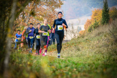 altmuehltrail_2018_31_20181102_1060923921
