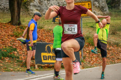 altmuehltrail_2018_42_20181102_1028908049