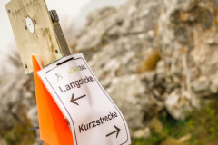 altmuehltrail_2018_53_20181102_1800712120