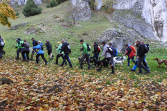 Altmühltrail 2019 - Dollnstein