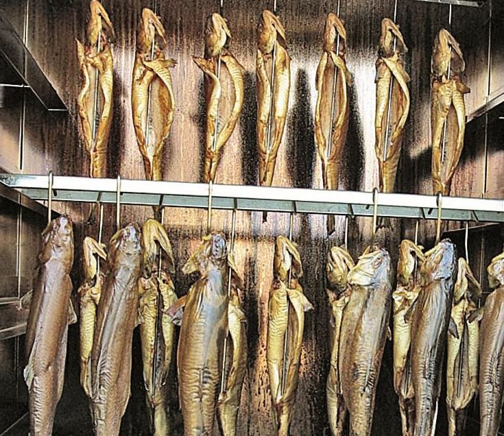 fisch weisel