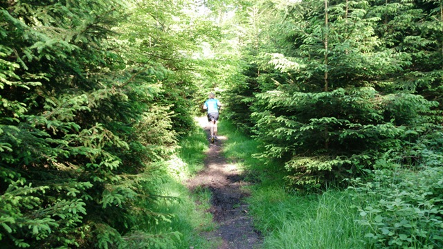 wald