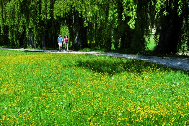 wanderer blumenwiese
