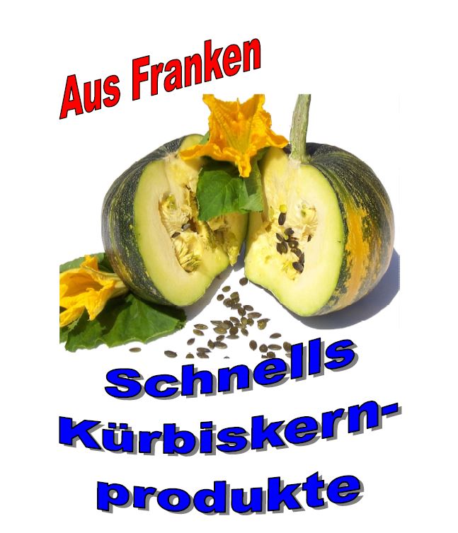 schnell kuerbis logo