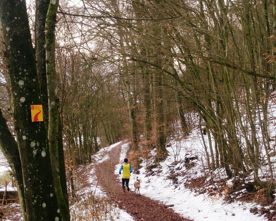 at16 luggi wald