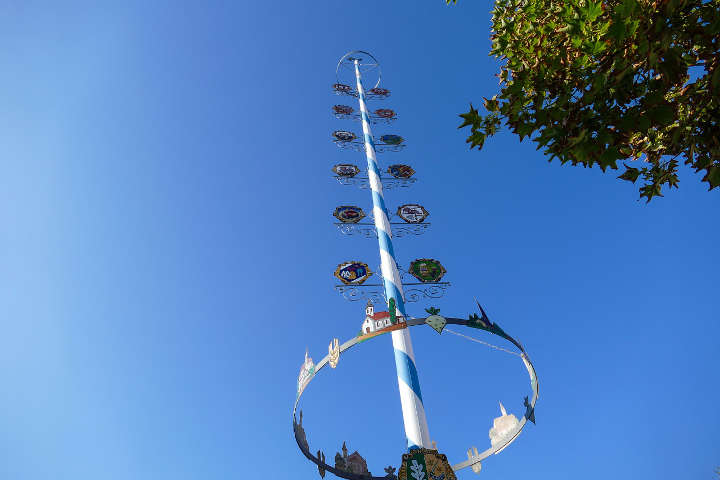 maibaum web