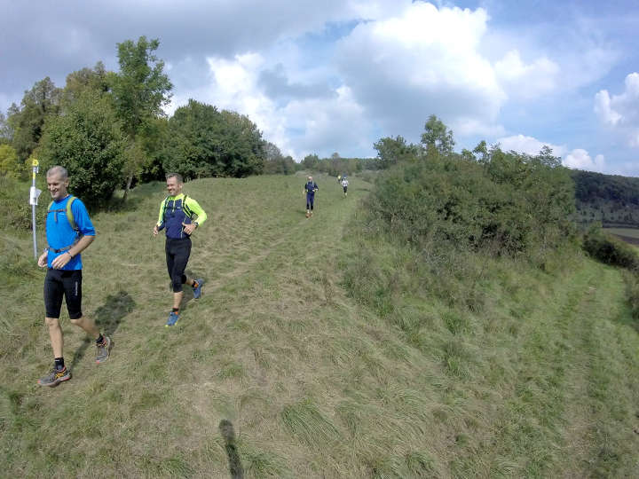 testlauf 11
