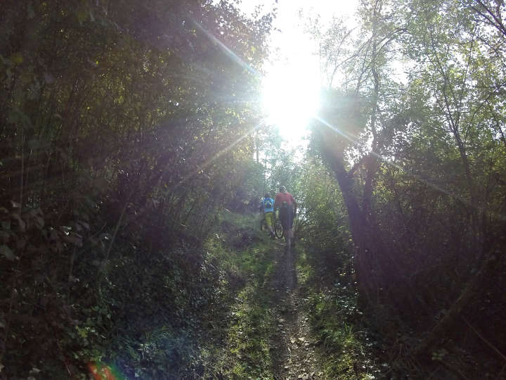 testlauf 7