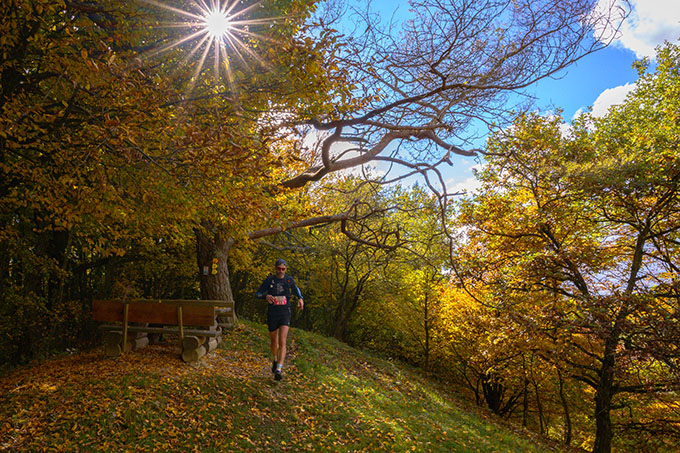 O.R Altmuhltrail 18.10.2025 452